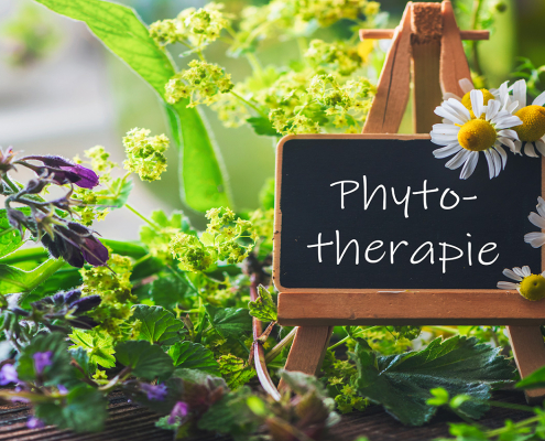 Phytotherapie-33