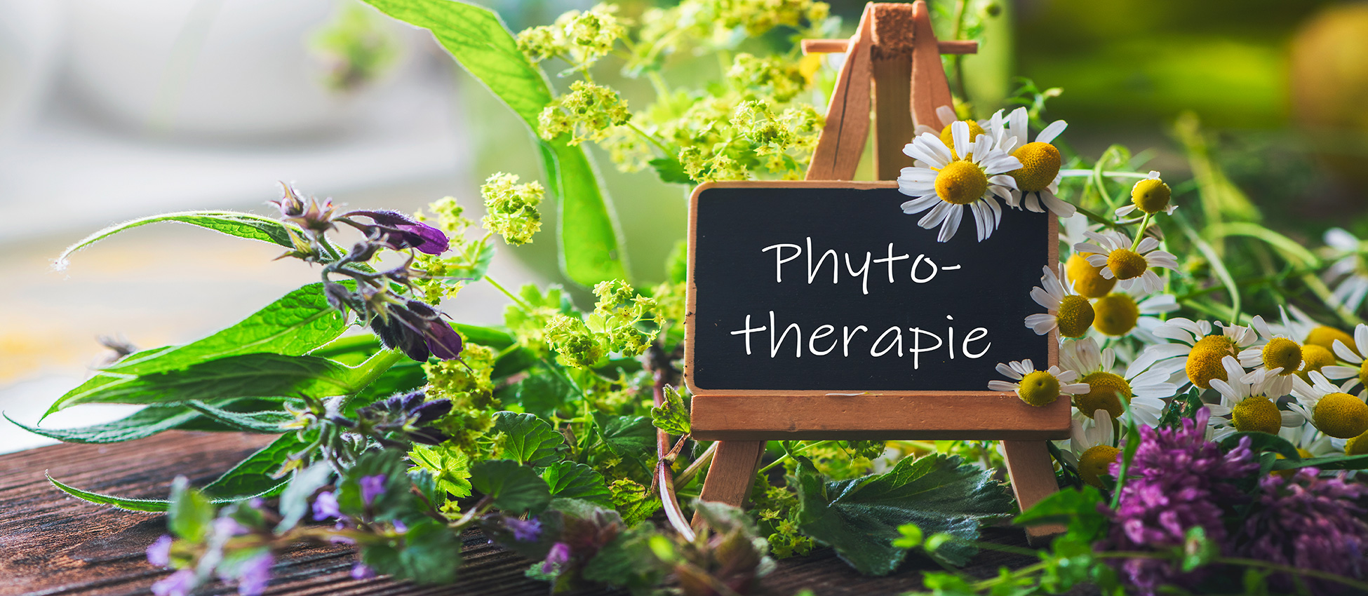 Phytotherapie-33